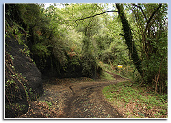 Sant Feliu de Pallerols